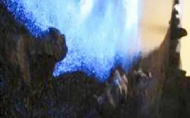 91免费版视频陶瓷品牌