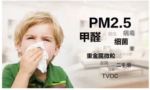 91免费版视频健康净界瓷砖成人91免费APP